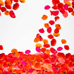 Fama Flamenca - Ribes y Casals