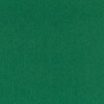 Feutre Vert Billard 160 - Ribes y Casals