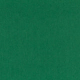 Feutre Vert Billard 160 - Ribes y Casals