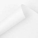 Feutrine Blanc 180g - Ribes y Casals