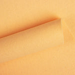 Feutrine Activité Manuelle Nude - Ribes y Casals