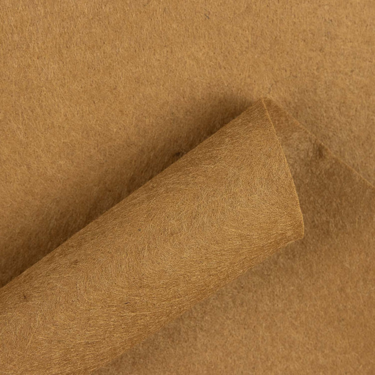 Feutrine Activité Manuelle Terre - Ribes y Casals