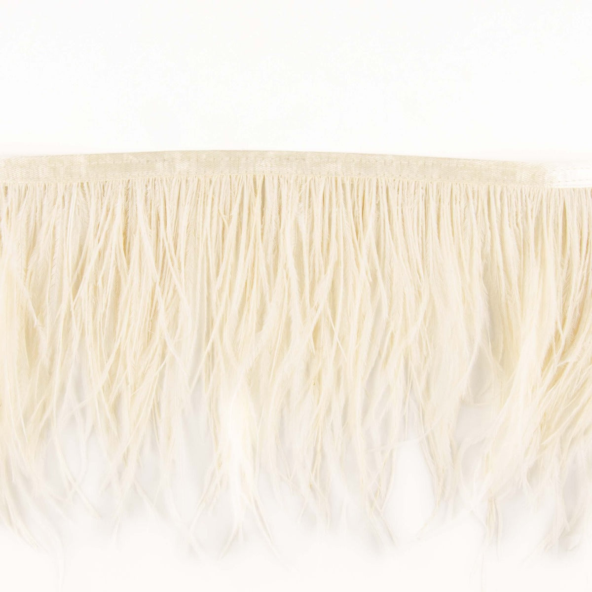 Frange Plume Plus Ecru - Ribes y Casals