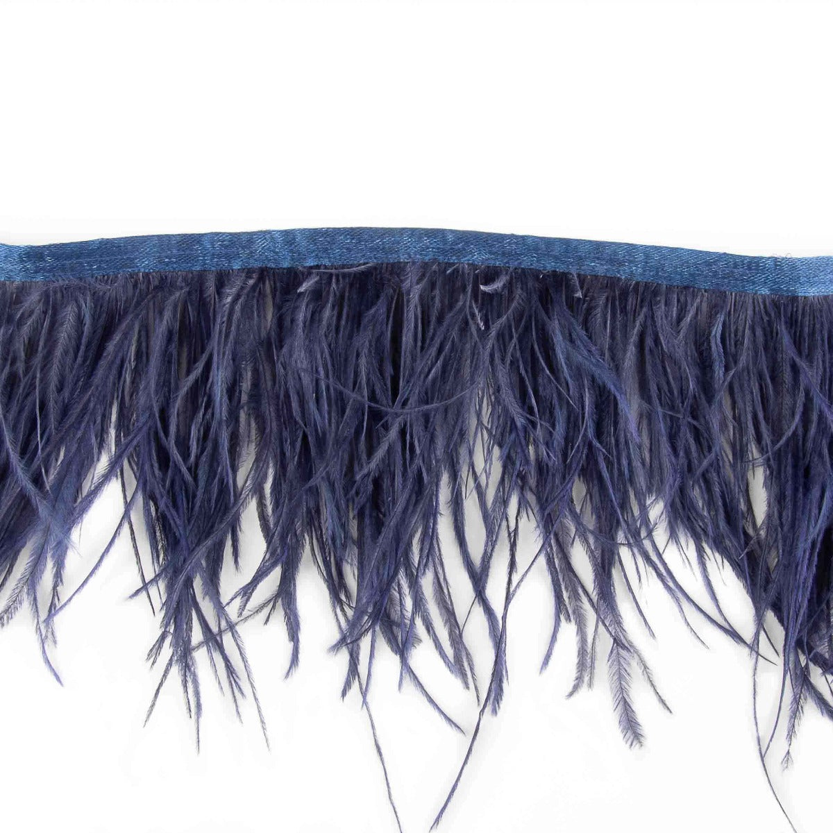 Frange en plumes Navy Plus - Ribes y Casals