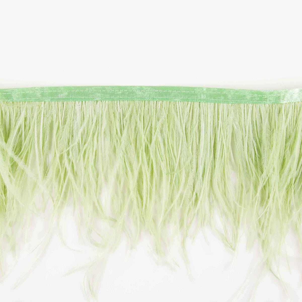 Frange en Plumes Plus Menthe - Ribes y Casals