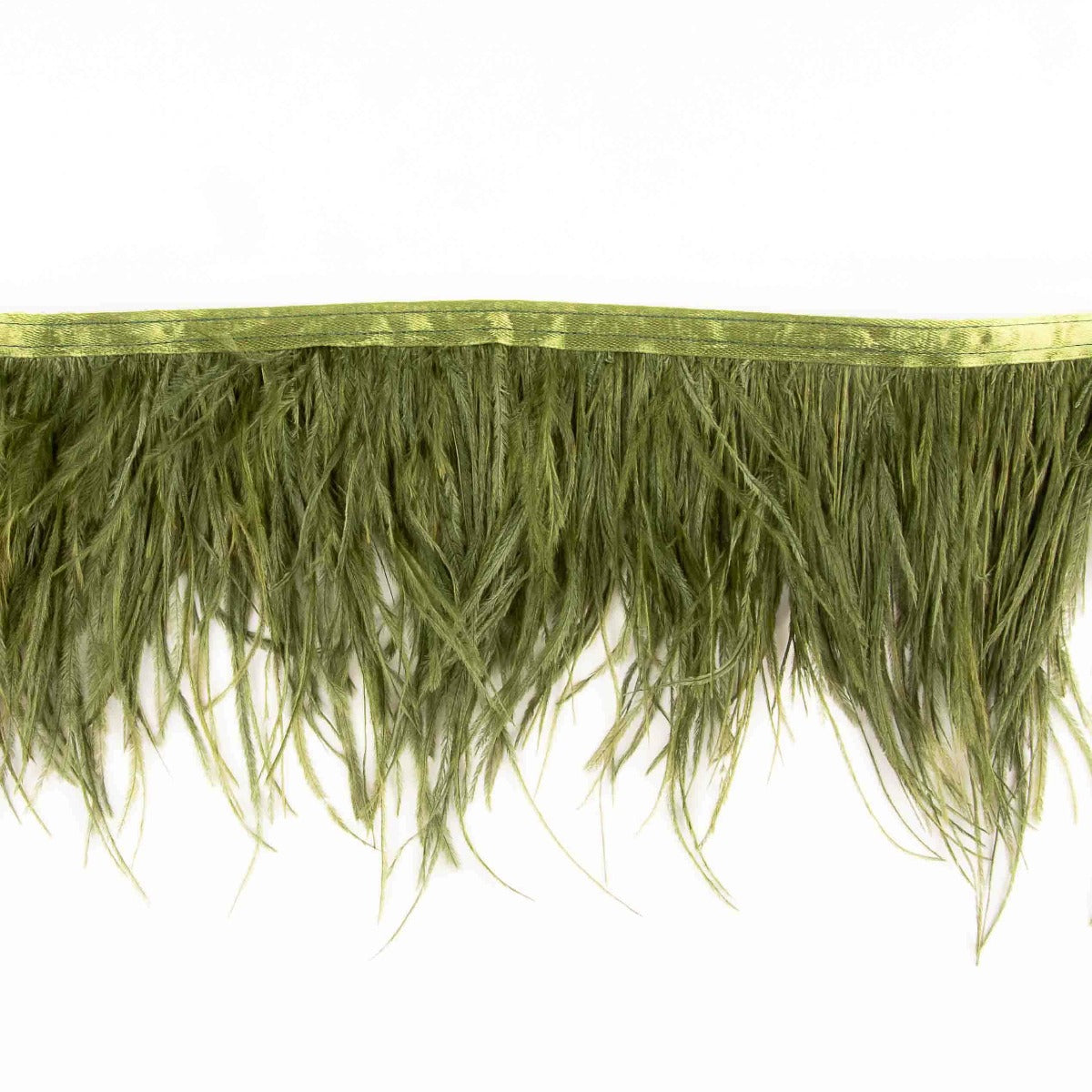 Frange de plumes et mousse - Ribes y Casals