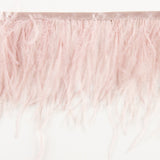 Galon Plumes Autruche Rose Pâle - Ribes y Casals