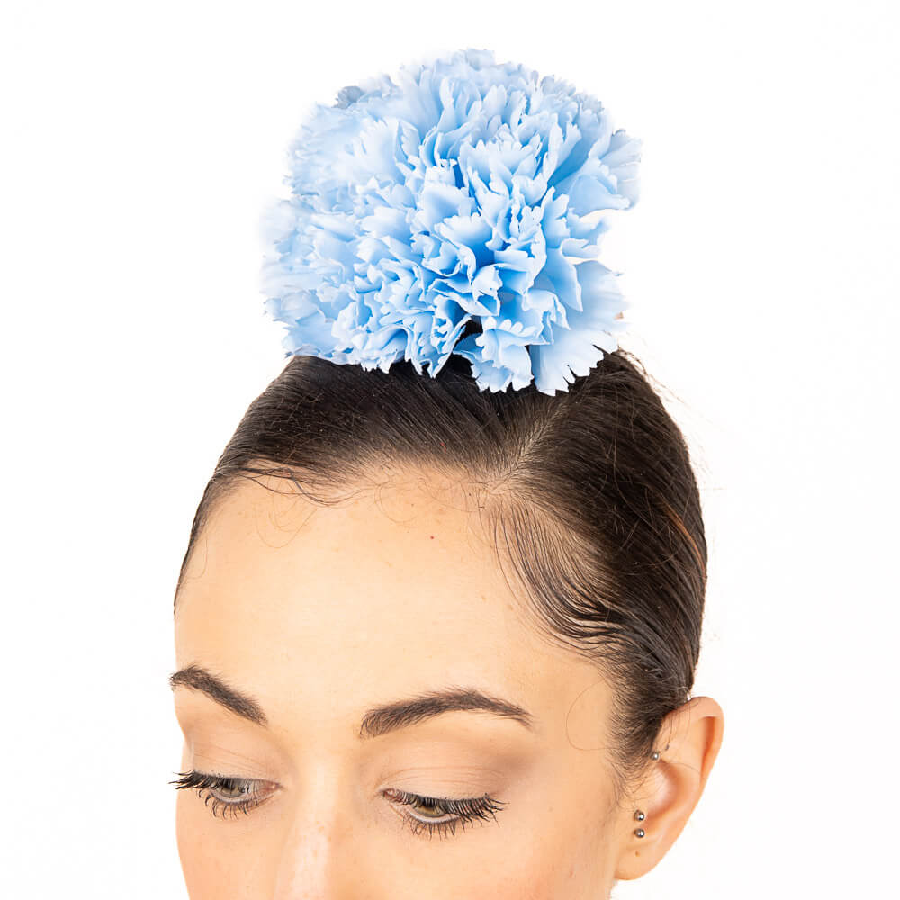 Œillet flamenco bleu ciel - Ribes y Casals