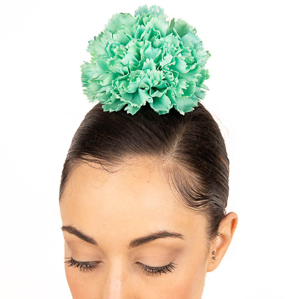 Œillet flamenco vert menthe - Ribes y Casals