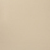 Tissu Rembourrage Mousse Voiture Beige Clair - Ribes y Casals