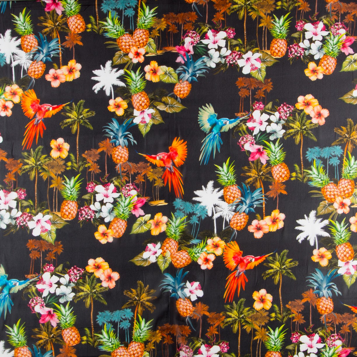 Gase Tropical Noir - Ribes y Casals