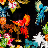 Gase Tropical Noir - Ribes y Casals