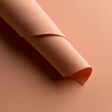 Gomme Eva Saumon - Ribes y Casals