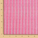 Guipure Rayé Fuchsia - Ribes y Casals