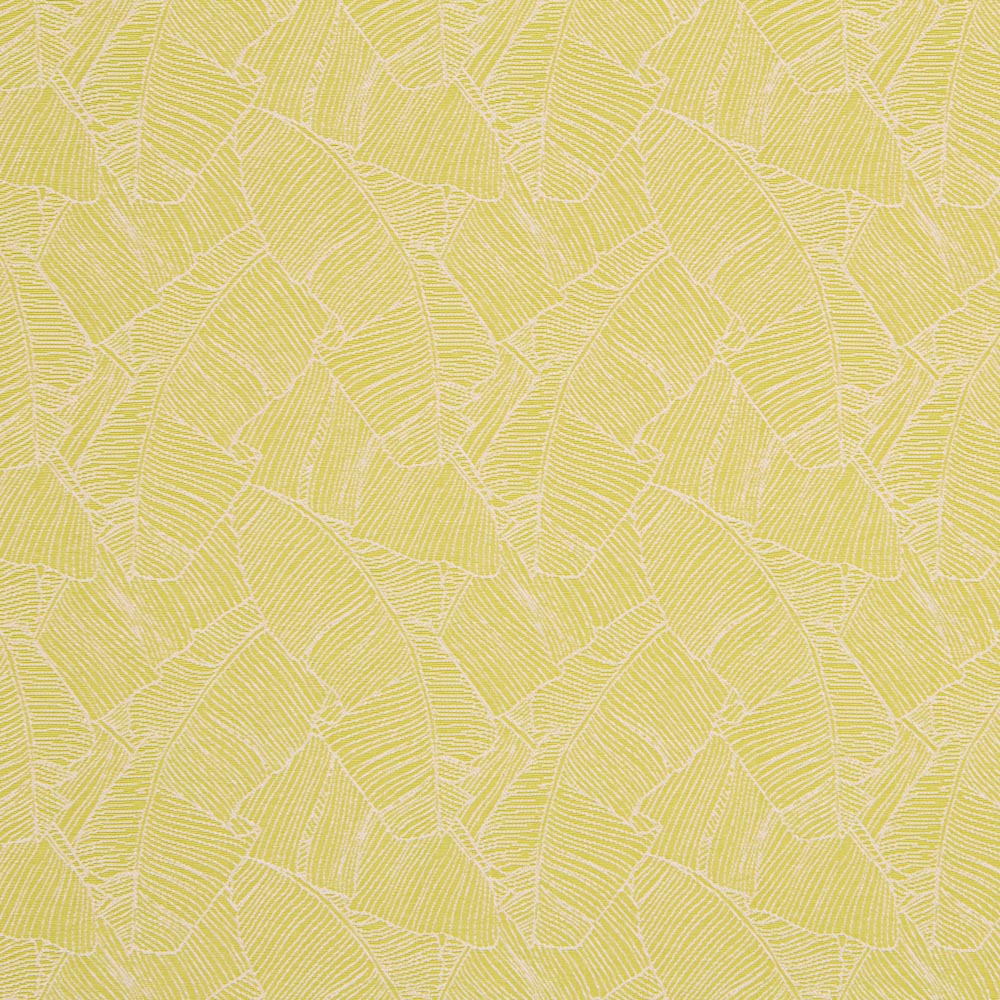 Jacquard Feuilles Pistache - Ribes y Casals