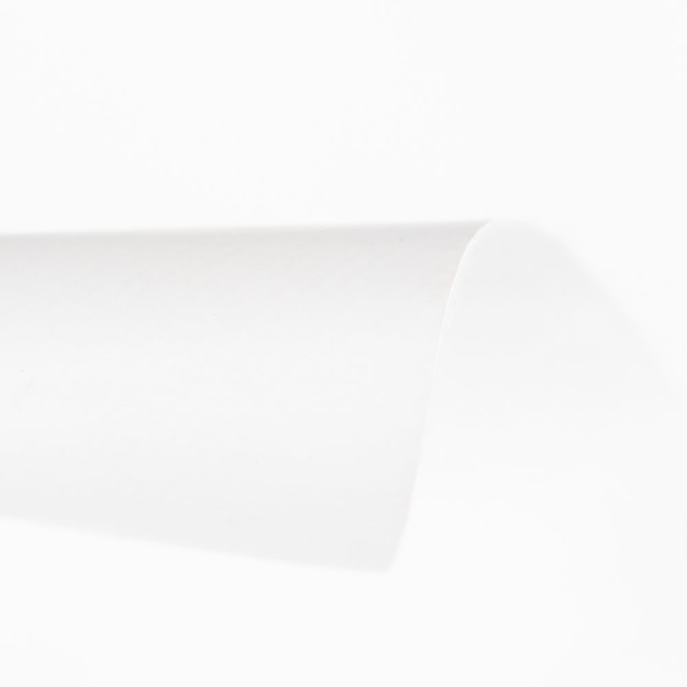 Toile Cirée Blanche - Ribes y Casals