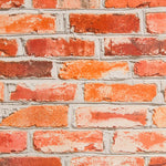 Toile Cirée PVC Briques - Ribes y Casals
