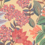 Double Gaze Afrique Jaune - Ribes y Casals