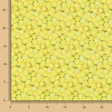 Tissu Coton Balles Tennis - Ribes y Casals