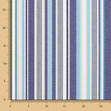 Tissu Extérieur Téflon Rayure Bleue Large - Ribes y Casals