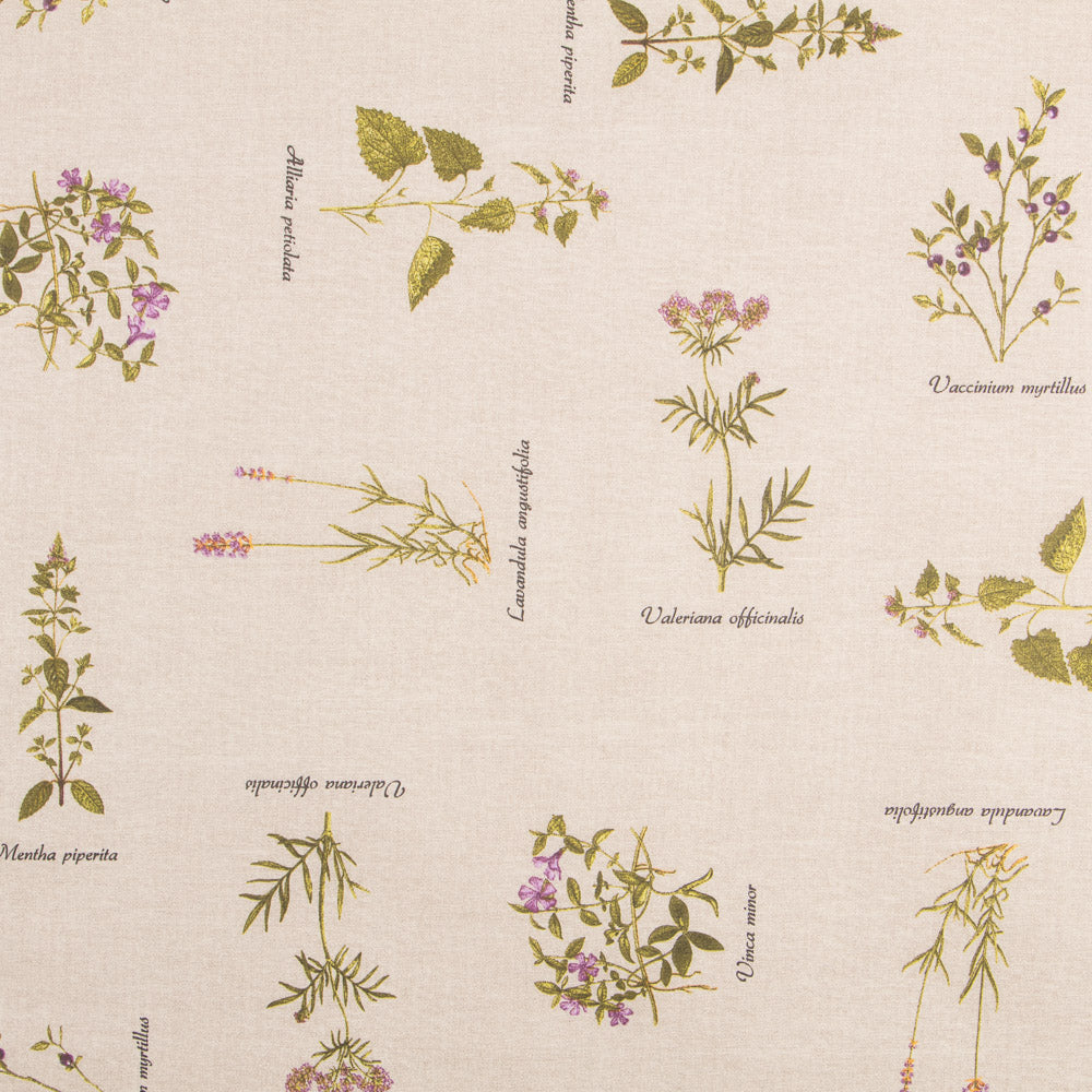 Tissu Nappe Botanique Rustique Anti-tâches - Ribes y Casals