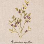 Tissu Nappe Botanique Rustique Anti-tâches - Ribes y Casals