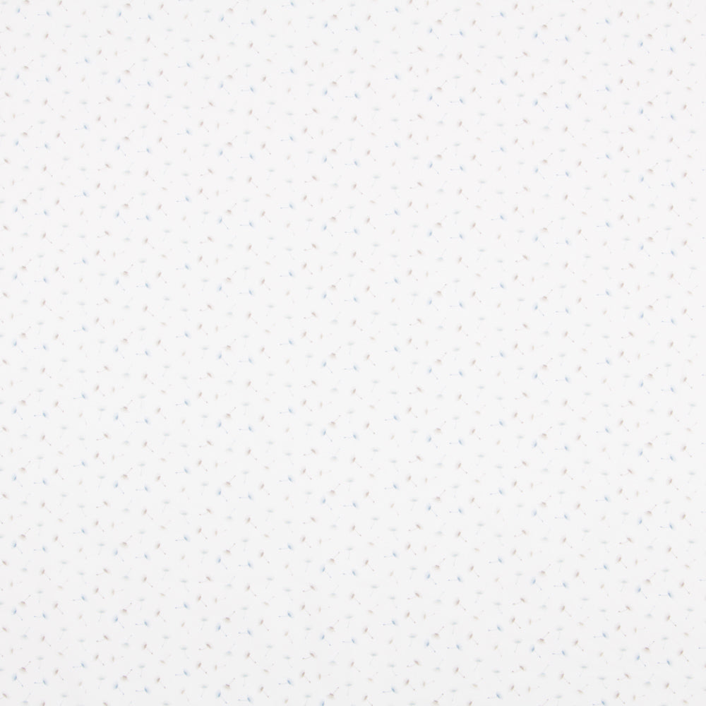 Tissu Coton Blanc Pissenlit - Ribes y Casals