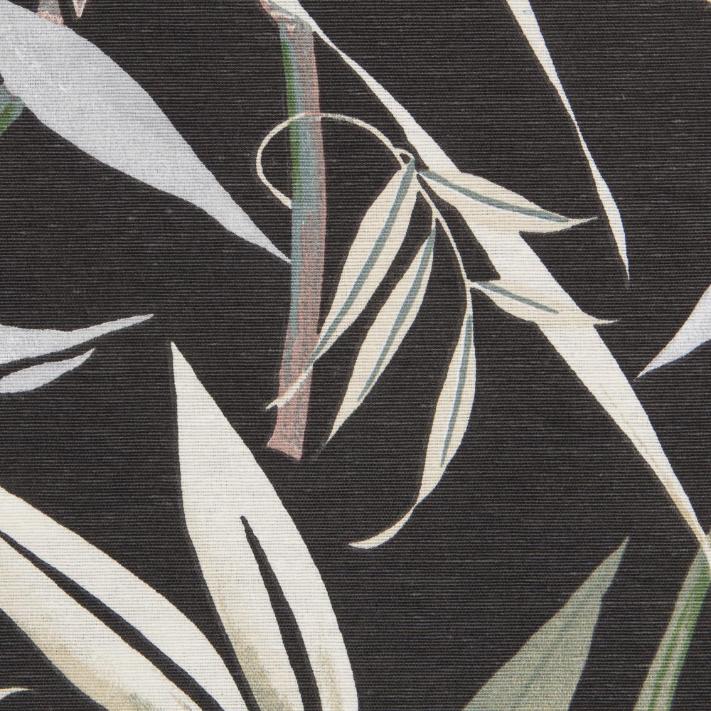 Toile Imprimée Noire Tropiques - Ribes y Casals