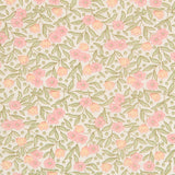Coton Beige Rose - Ribes y Casals