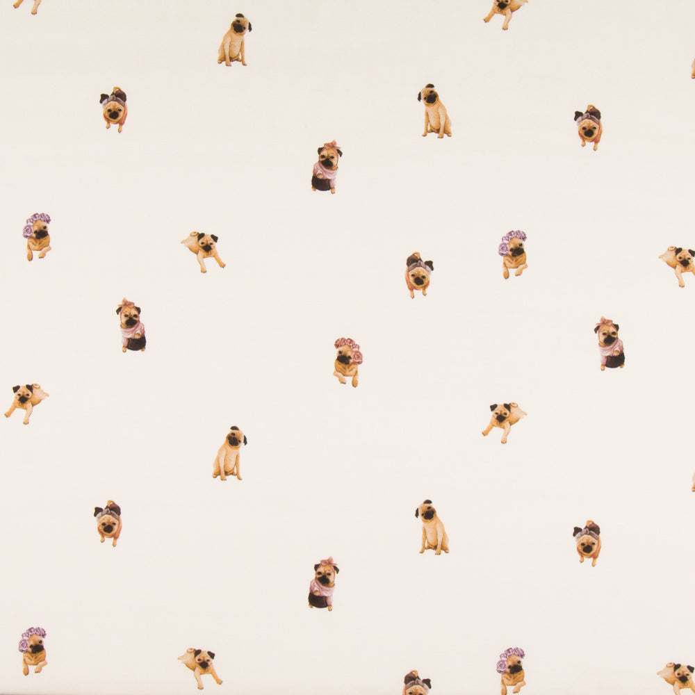 Sergé Chiens Écru - Ribes y Casals