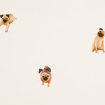 Sergé Chiens Écru - Ribes y Casals