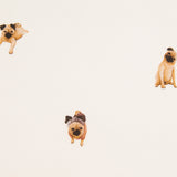 Sergé Chiens Écru - Ribes y Casals