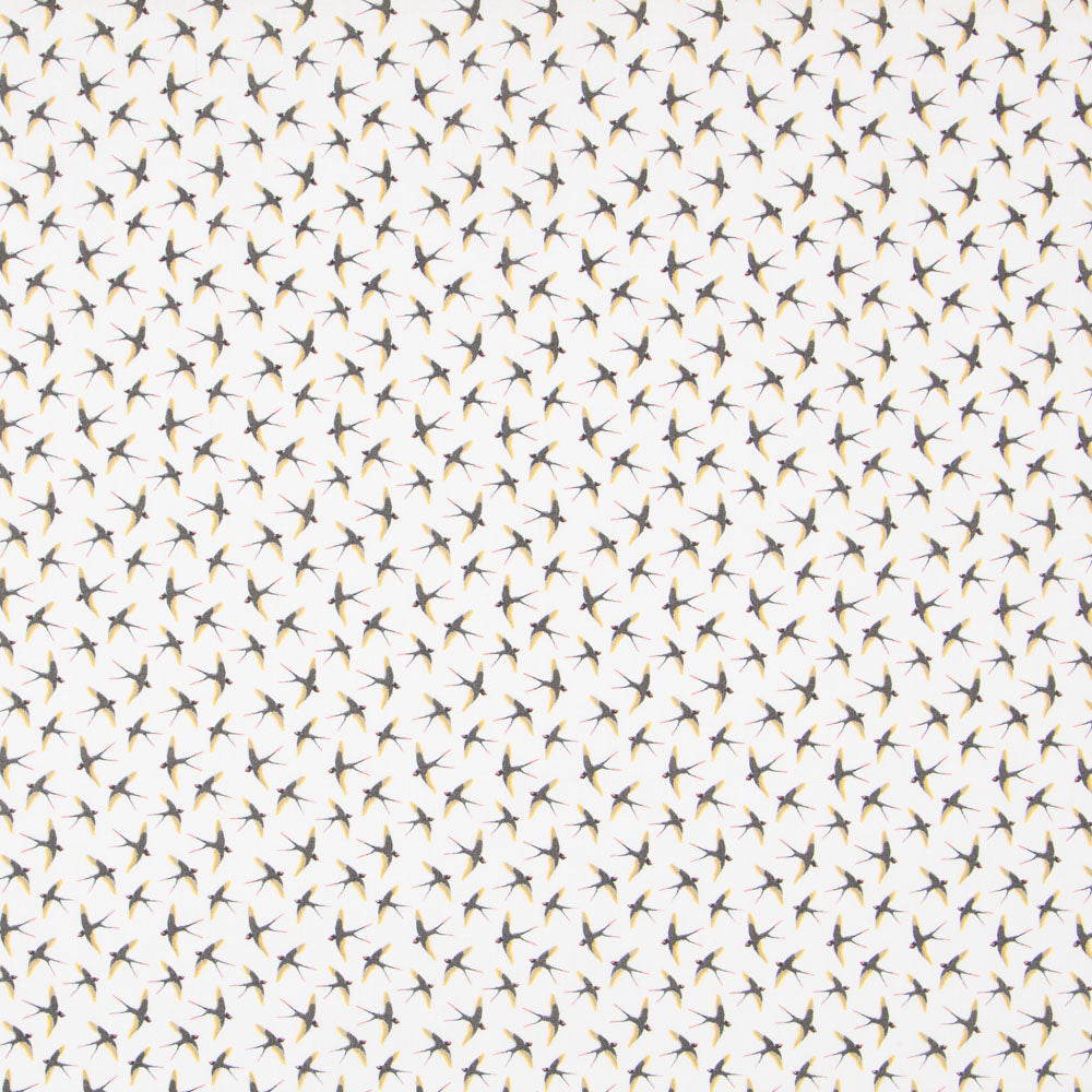 Popeline Coton Oiseaux Écru - Ribes y Casals