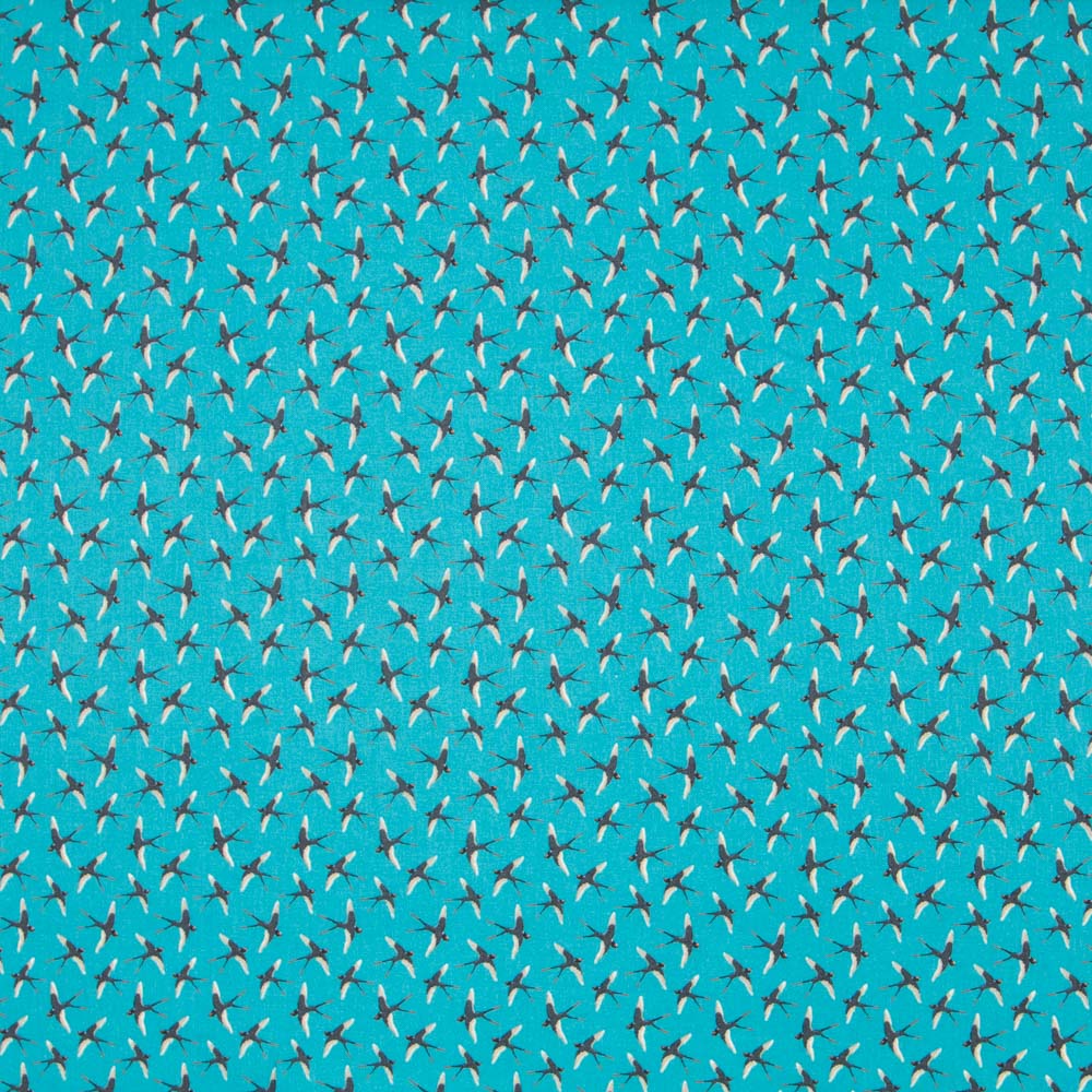 Popeline Coton Oiseaux Aigue-Marine - Ribes y Casals