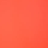 Imperméable Néon Rouge - Ribes y Casals