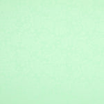 Jacquard Floral Mint Green - Ribes y Casals