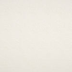 Jacquard Spandex Vagues Ecru - Ribes y Casals