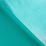 Lycra Dégradé Aigue-Marine - Ribes y Casals