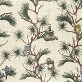 Toile Coton Koalas Australie - Ribes y Casals