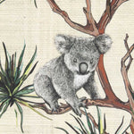 Toile Coton Koalas Australie - Ribes y Casals