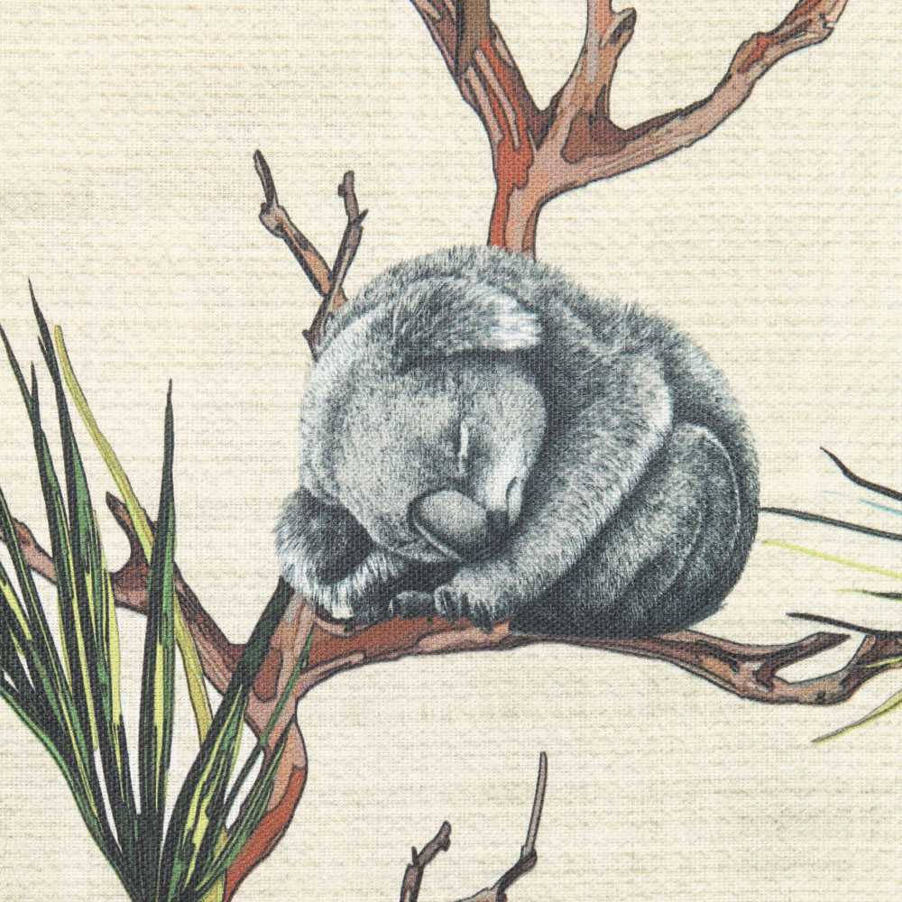Toile Coton Koalas Australie - Ribes y Casals