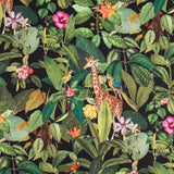 Toile Coton Noire Safari - Ribes y Casals