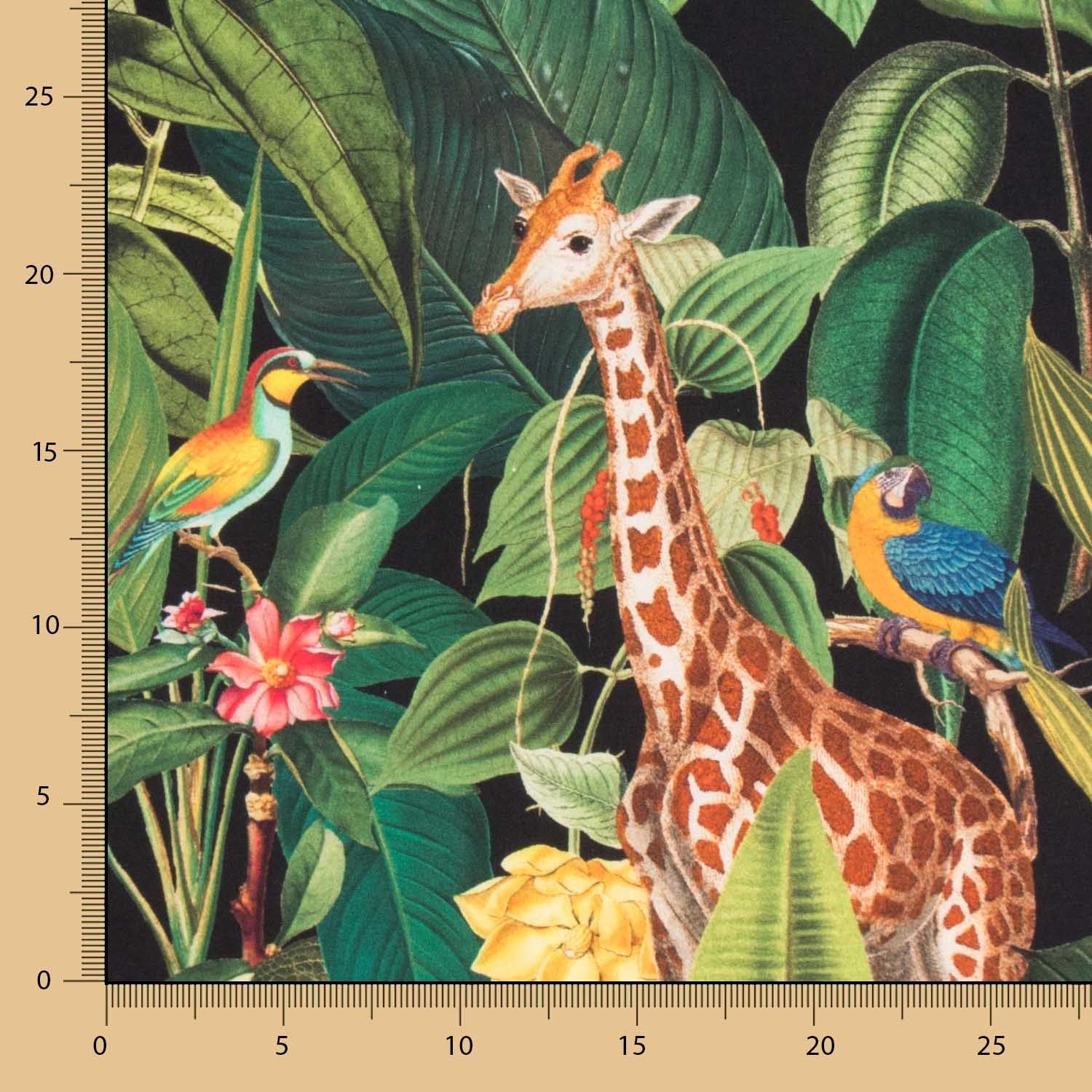 Toile Coton Noire Safari - Ribes y Casals