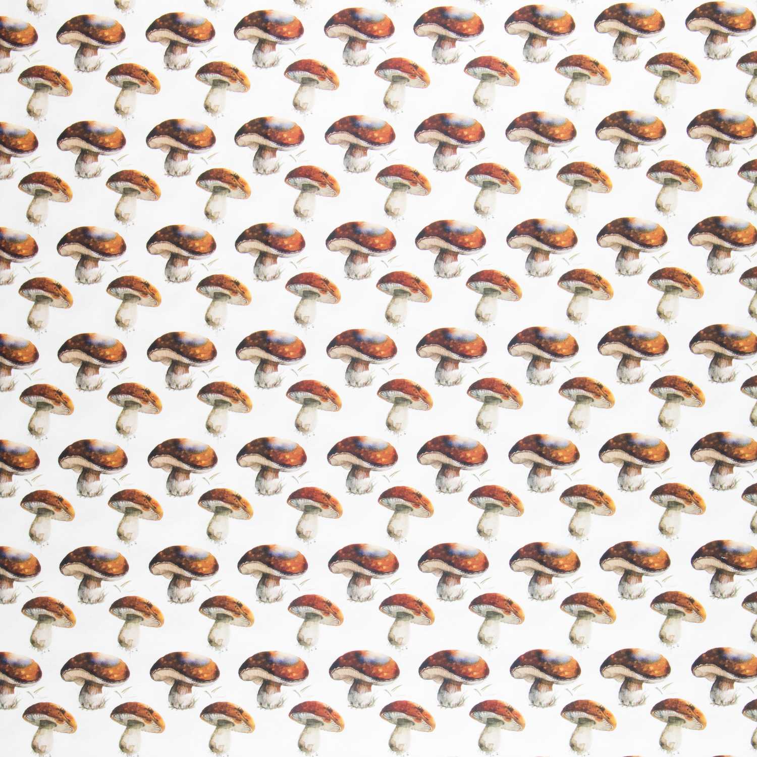 Toile Coton Champignons Écru - Ribes y Casals