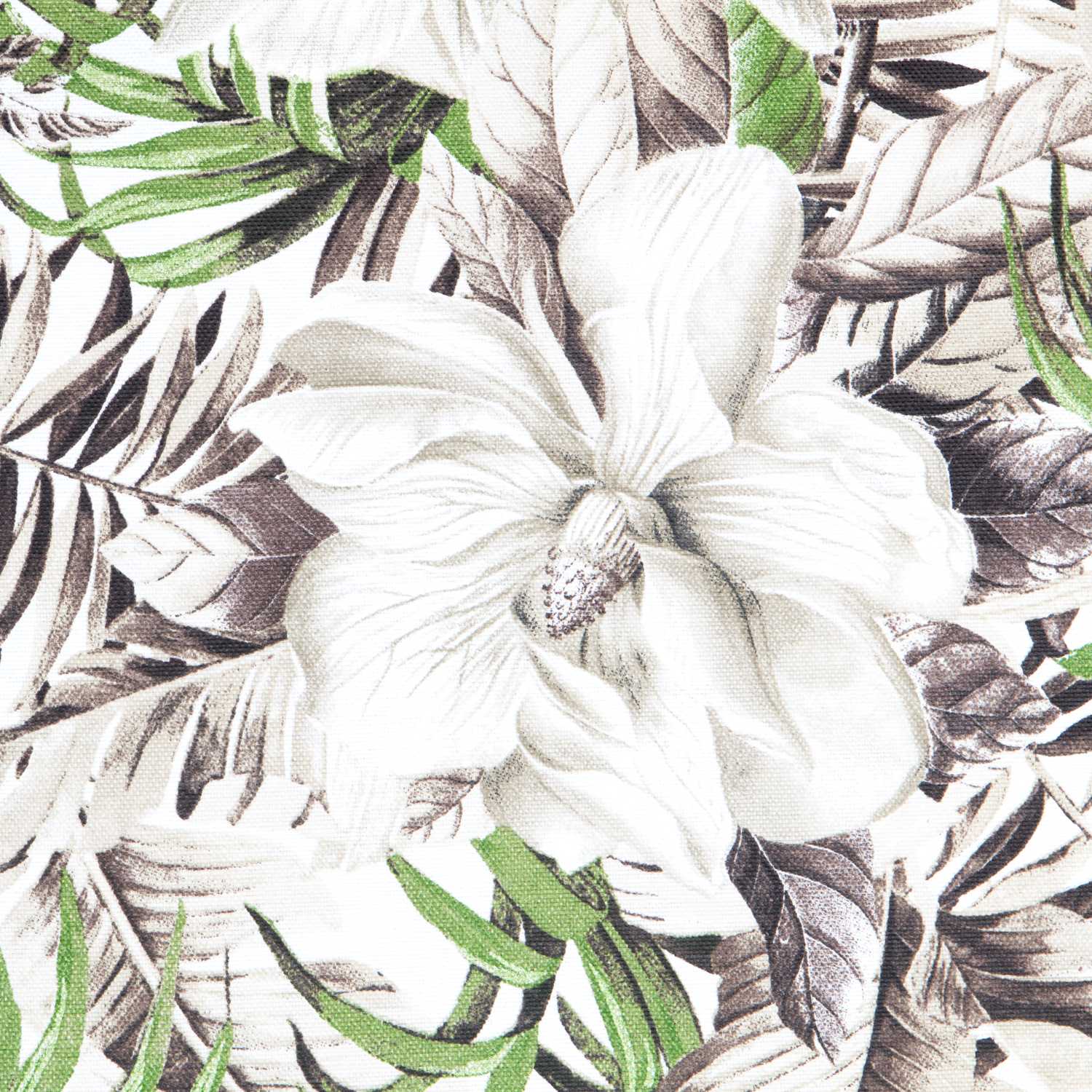 Toile Botanique Jungle Vert - Ribes y Casals