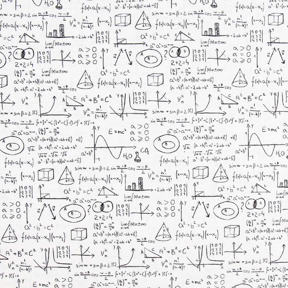 Toile Blanche Einstein - Ribes y Casals