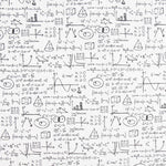 Toile Blanche Einstein - Ribes y Casals