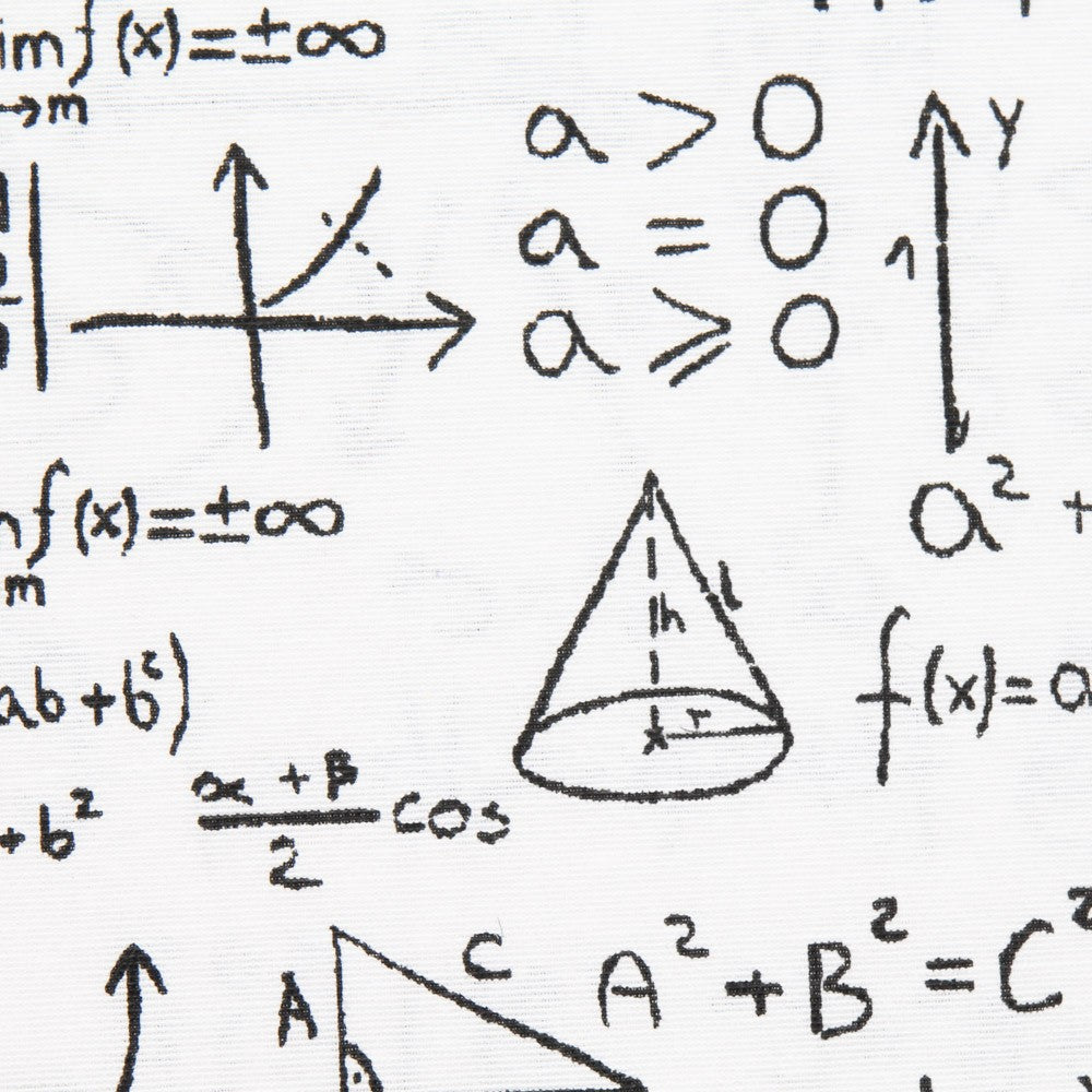 Toile Blanche Einstein - Ribes y Casals