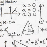 Toile Blanche Einstein - Ribes y Casals