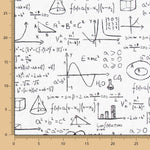 Toile Blanche Einstein - Ribes y Casals